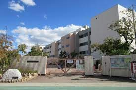 images-1736838
