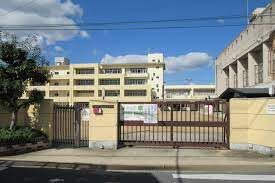 images-2-3779691