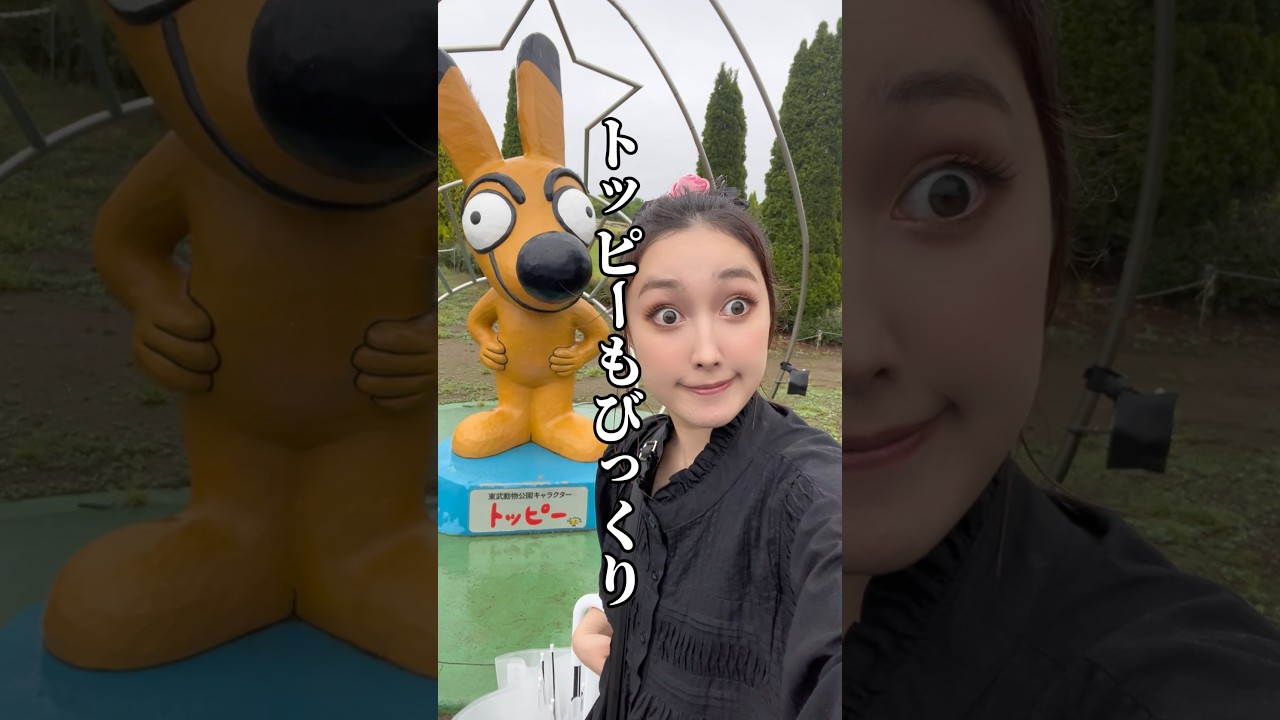 1762559249_maxresdefault-1329925-8278095-jpg