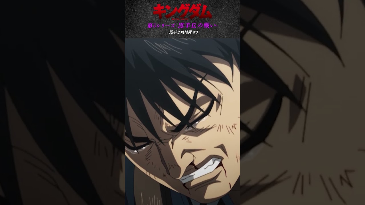 1763021562_maxresdefault-3662946-5655021-jpg