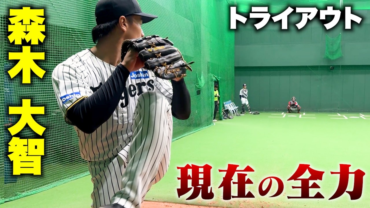 1763646667_maxresdefault-8314884-5716869-jpg