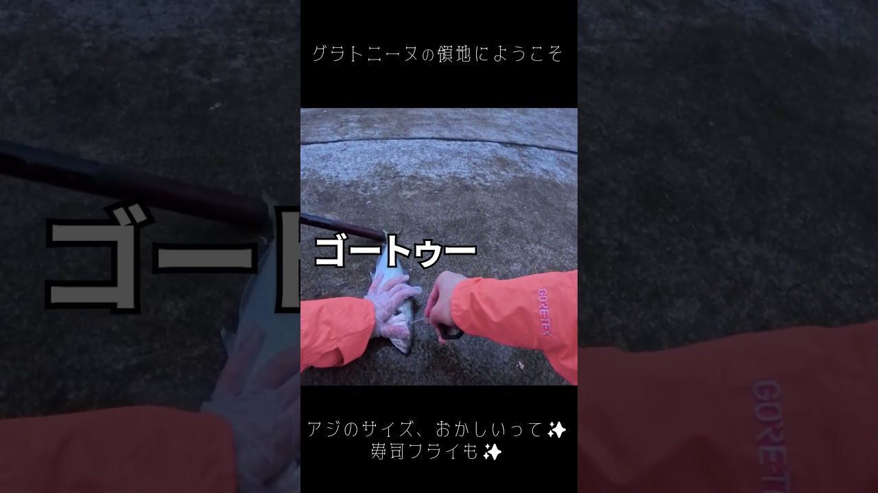 1763859321_maxresdefault-9588687-4275775-jpg