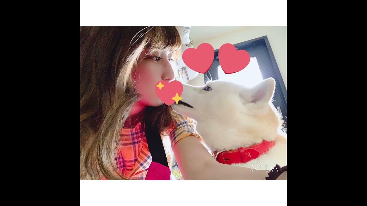 1764498662_maxresdefault-4145617-9217291-jpg