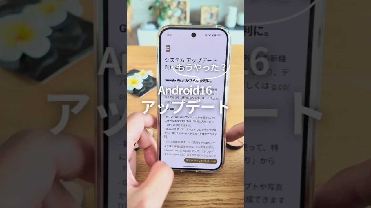 1764860656_maxresdefault-9907682-6790453-jpg