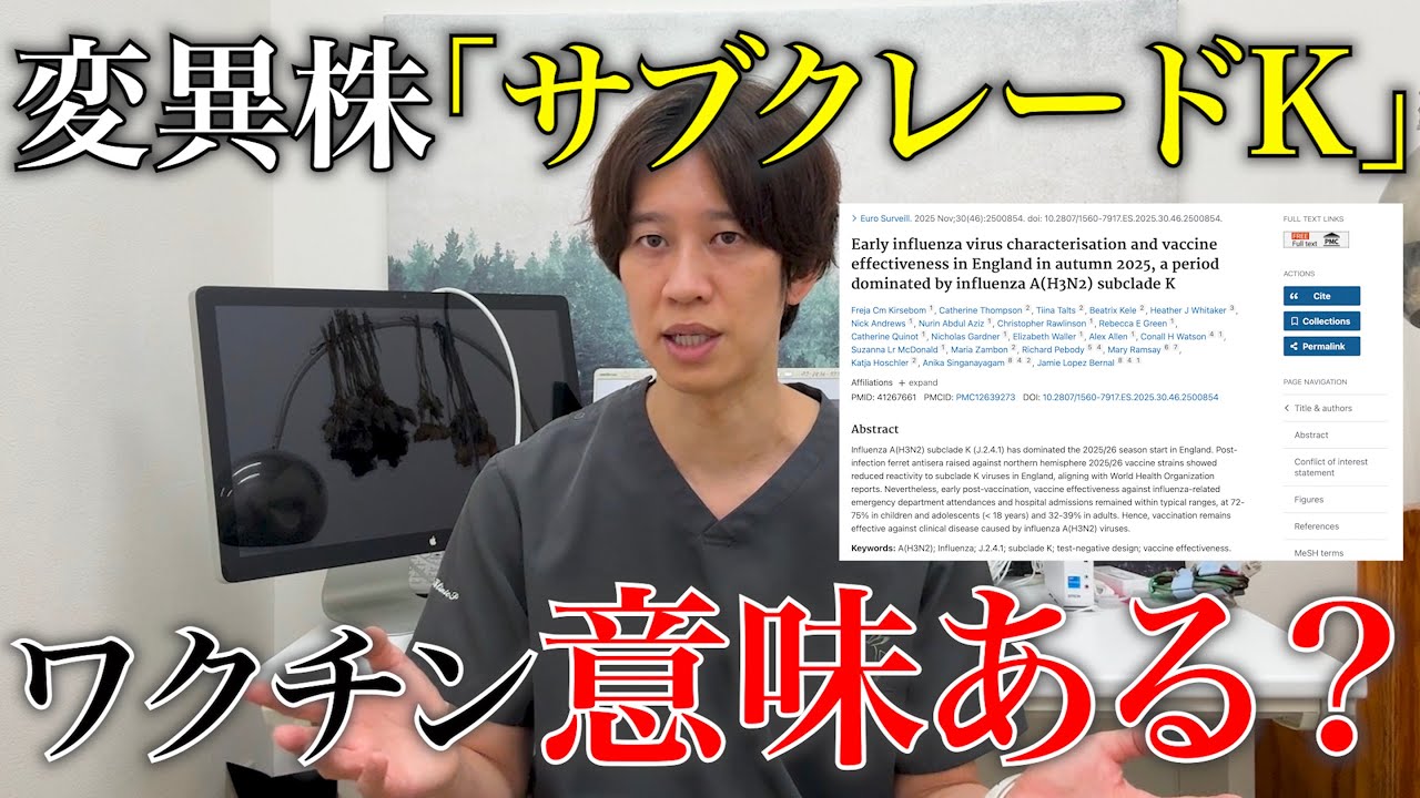 1765033920_maxresdefault-9956315-6913373-jpg