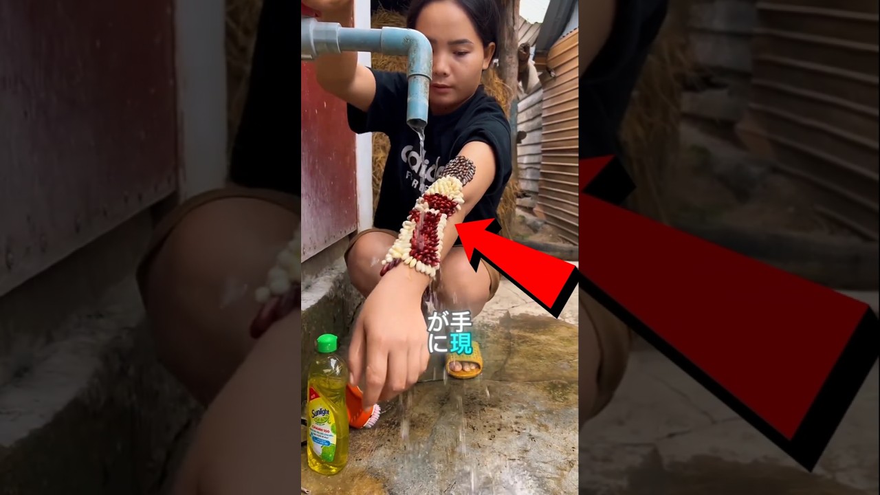 1765249063_maxresdefault-5642362-4010490-jpg