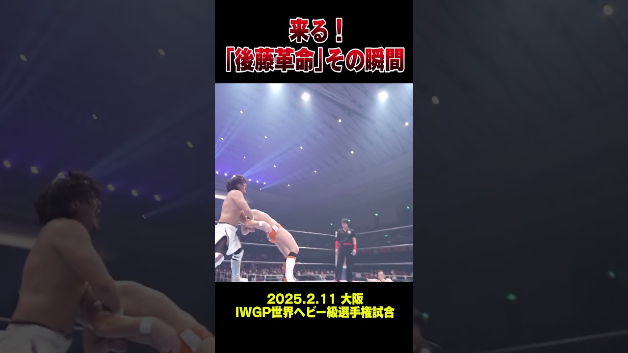 1765611758_maxresdefault-6488447-7238809-jpg