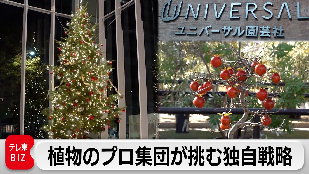 1766160609_maxresdefault-6157038-7965051-jpg