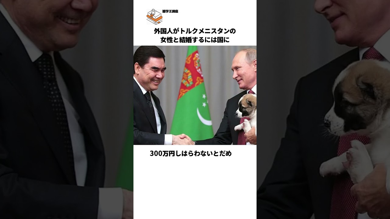 1766882821_maxresdefault-3278800-4049825-jpg