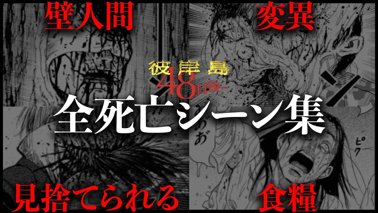 1766951715_maxresdefault-9206072-4863647-jpg