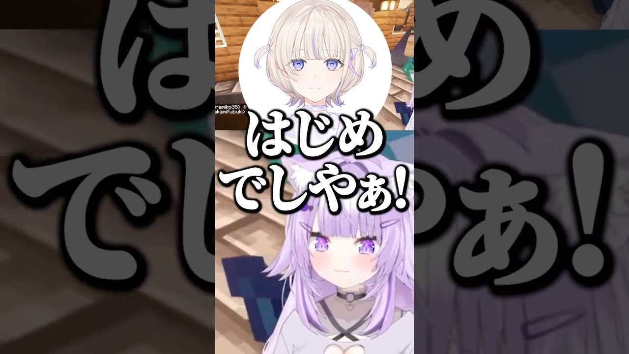 1767156219_maxresdefault-1182838-2089176-jpg