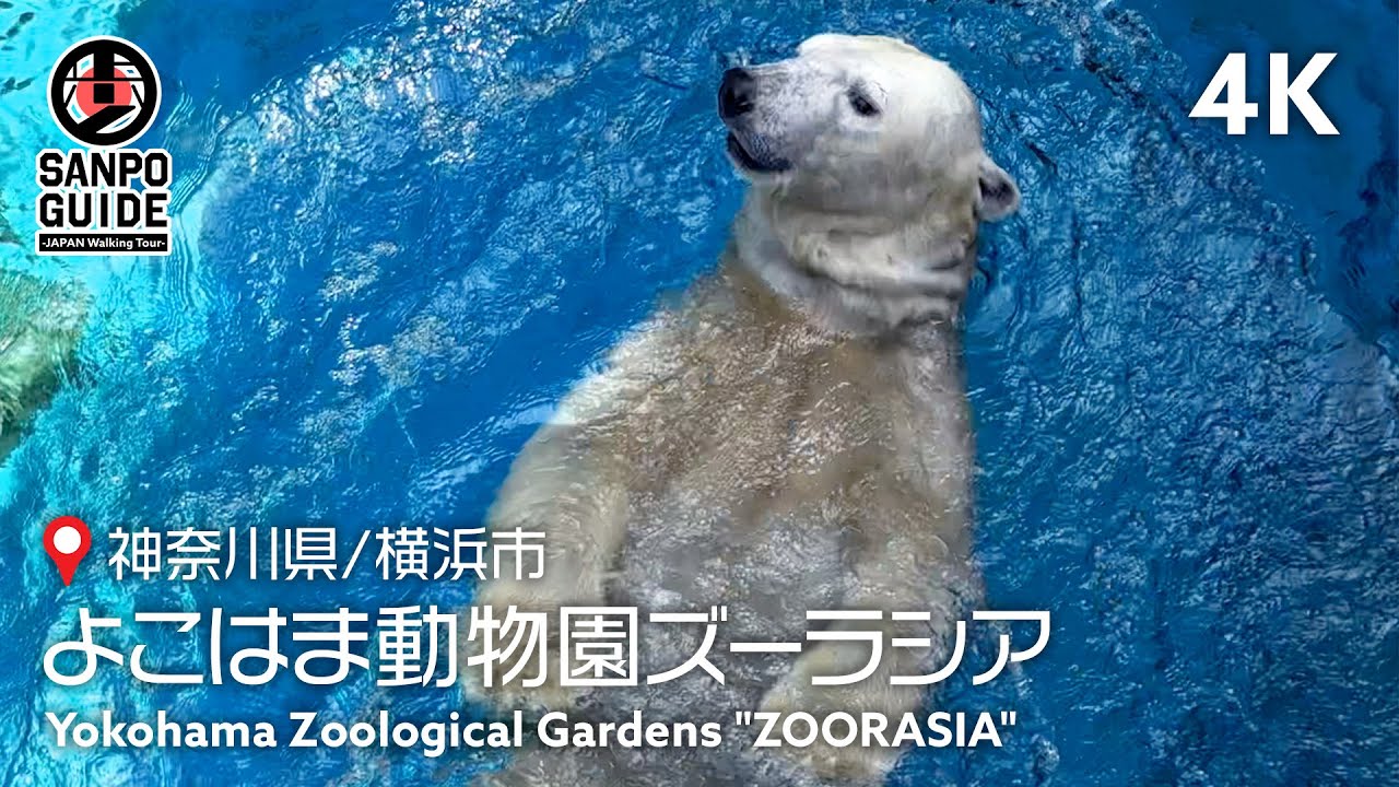 1767171864_maxresdefault-3683972-7658464-jpg