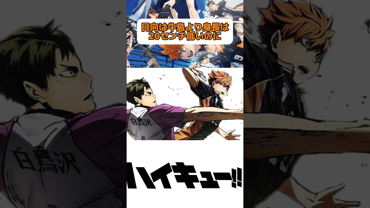 1767384820_maxresdefault-6825185-6777038-jpg