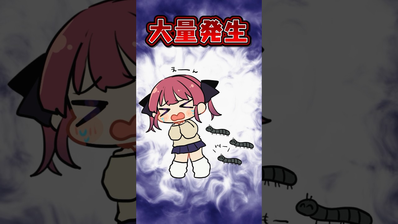 1769351264_maxresdefault-9375431-2359185-jpg